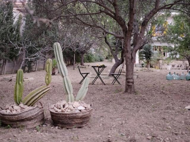 Catalina Vera Guest house