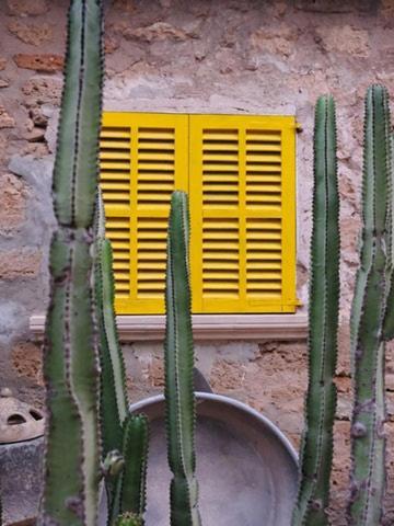 Guest house Catalina Vera